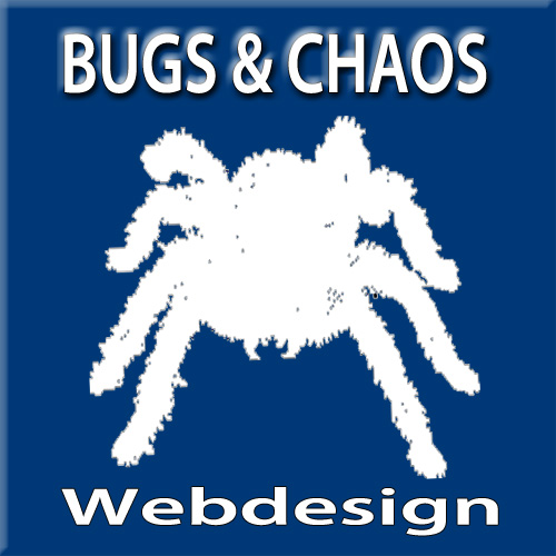 Bugs & Chaos - Internetagentur